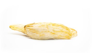 Mango tohumları beyaz arkaplanda izole