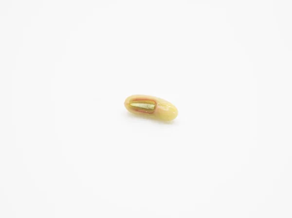 Single Yard Long Bean Seed White Background — Stockfoto