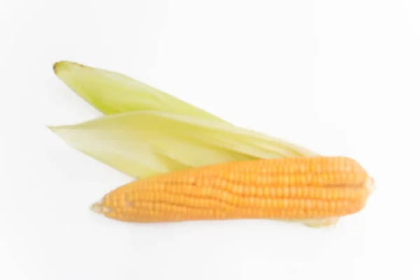 Closeup Corncob Maize Focus Isolated White Background — ストック写真