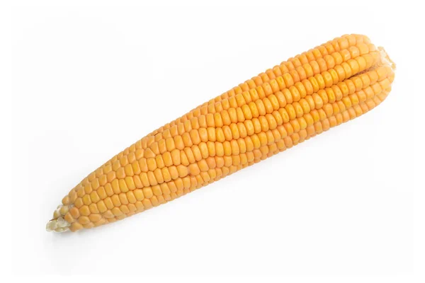 Fresh Corn Corncob Maize White Background Top View — ストック写真