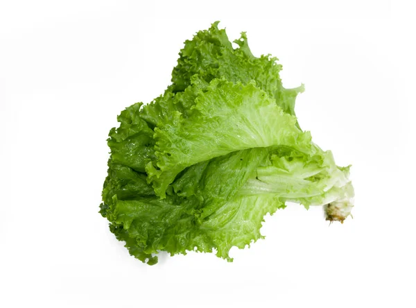 Fresh Lettuce Leaf Isolated White Background — Stock Photo, Image