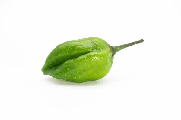 Chili Pepper Naga Morich Naga Chili Isolate White Stock Picture