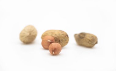 beyaz arka planda izole edilmiş yerfıstıkları, derisiz odaklanın