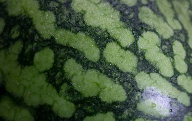 Çiğ karpuz tabakası arka planda izole