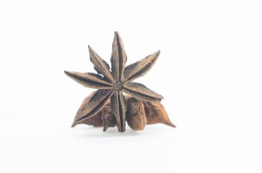 beyaz arkaplanda fındık izole edilmiş yıldız anason tohumu, ön görünüm