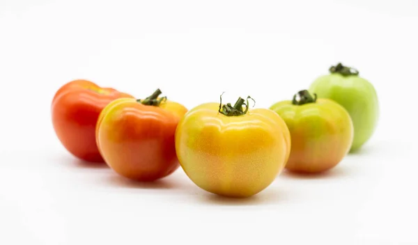 Fresh Tomatoes Different Types Tomatoes Row White Background Vegetable Cliping — Stock Photo, Image