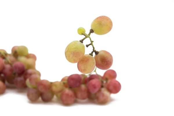 Fresh Ripe Sweet Grapes Red Grapes Closeup — Stock Photo, Image