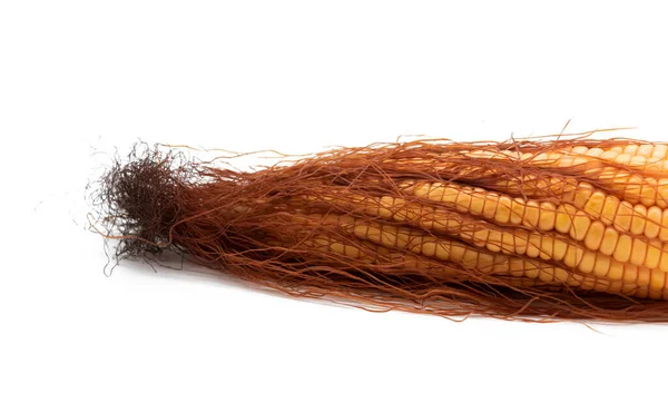 Single Corn Isolated White Background Package Design — Stockfoto