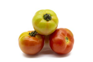 dos árboles en una colina.