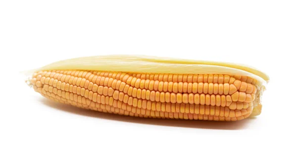 Pojedyncze Ucho Kukurydzy Izolowane Białym Tle Jako Element Projektu Opakowania — Zdjęcie stockowe
