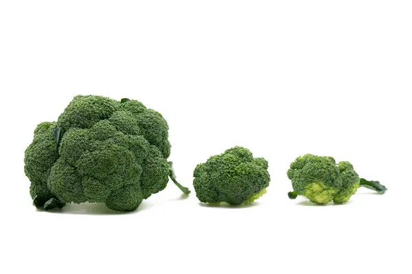 Broccoli Geïsoleerd Witte Achtergrond Creatieve Lay Out Van Broccoli Fresh — Stockfoto