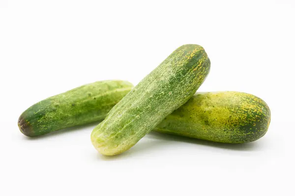 Fresh Green Cucumber White Background — Zdjęcie stockowe