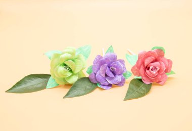 paper made roses isolate on colorful background