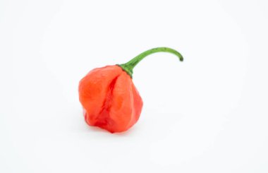 Beyaz arkaplanda odaklanmadan tek naga biberi