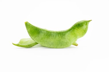 Beyaz fasulye ya da Hyacinth fasulyesi.