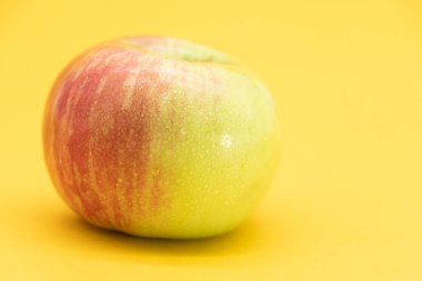 Sarı zemin üzerinde su damlası olan tek bir taze elma izole edilir.