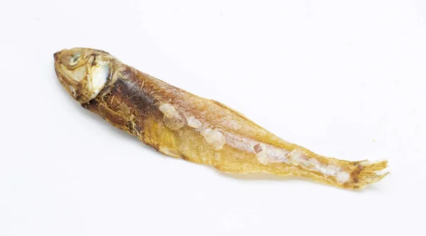 Одна Высушенная Мелкая Рыба Соленая Анчоусовая Рыба Изолированы Белом Фоне — стоковое фото