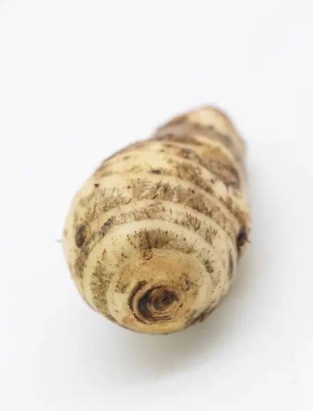 Taro Root White Background Arbi Vegetable Closeup — Stock Photo, Image