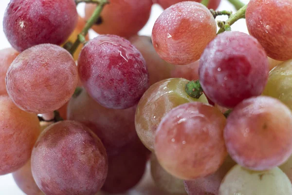 Red Grape Wine Isolated White Background — Foto de Stock