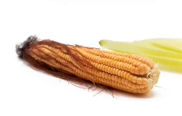 Single Corn Isolated White Background Package Design — ストック写真