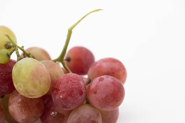 Grape Red Wine Isolated White Background — Foto de Stock