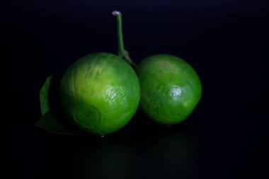 Mandalina ya da Mandalina yaprakları siyah arkaplanda izole.