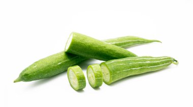 Beyaz arka plan üzerinde izole yılan kabak