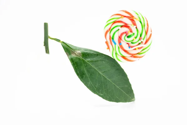 Colorful Sweet Stick Leaves Fun Decoration White Background — ストック写真