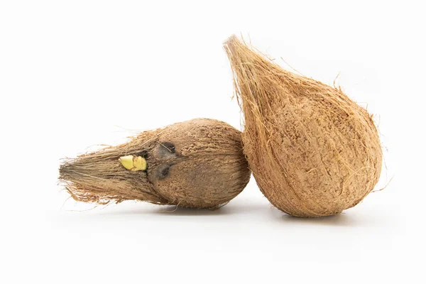 Two Fresh Coconut Closeup White Background — Foto de Stock