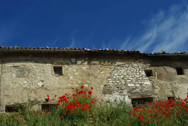 Önünde kırmızı gelincikler olan terk edilmiş bir ev. Arka planda mavi gökyüzü..