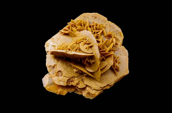 Çöl gülü veya kum gülü, siyah arkaplanda mineral taşı.