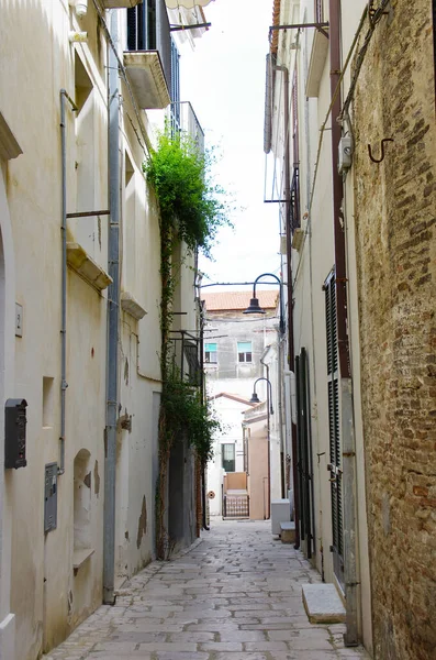 Termoli モリーゼ 古代の村の路地 — ストック写真