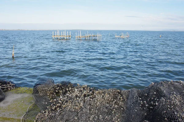 Lesina ve gölü - Gargano - Puglia
