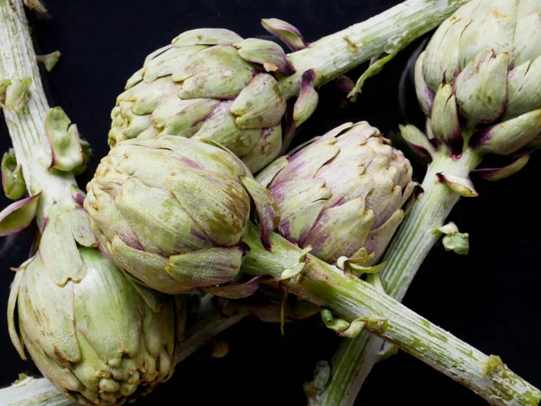 Siyah arka plandaki enginarlar, besin kullanımı için pek çok ülkede yetiştirilir, morumsu yeşil renkte yapraklar fizyoterapide kullanılır..