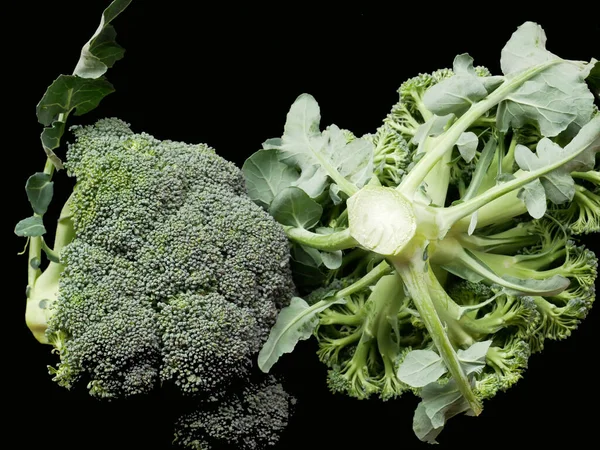 Close up of fresh broccoli isolated on black background
