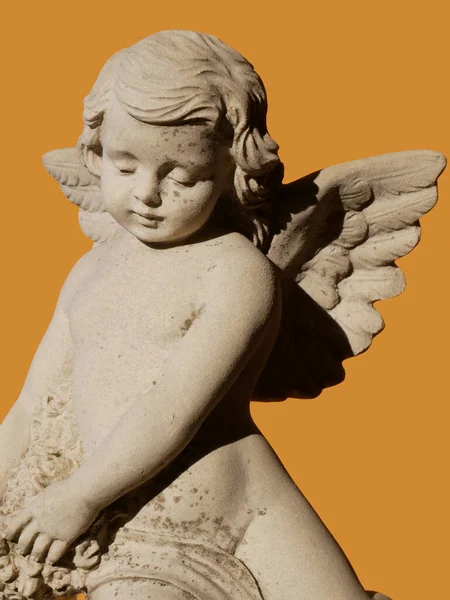 Scale Reproduction Half Length Angel Orange Background — 스톡 사진