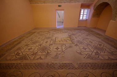 Larino - Molise - Civico Sarayı - Arkeoloji Müzesi - Aslanın değerli Roma mozaiği