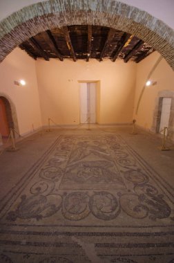Larino - Molise - Civico Sarayı - Arkeoloji Müzesi - Dişi kurdun değerli Roma mozaiği