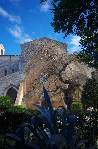 Santa Maria Arabona Egy Apátság Nyúlik Vissza Késő Tizenkettedik Században — Stock Fotó