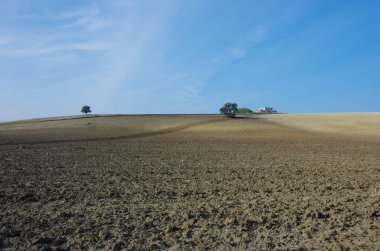 Spring works. Plowing the countryside before sowing