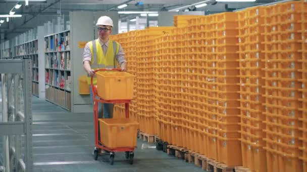 Pracownik magazynu popycha wózek z plastikowymi pudełkami — Wideo stockowe