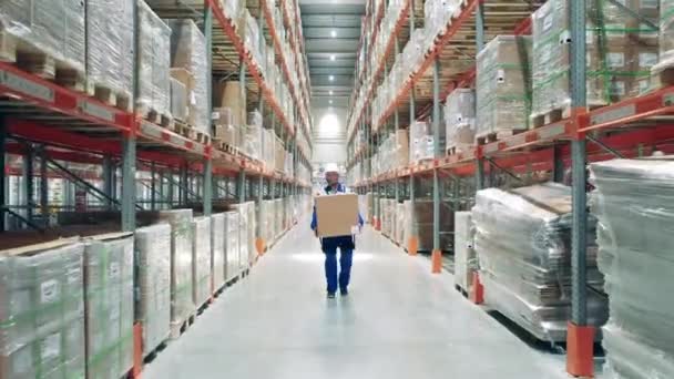 Storehouse werknemer draagt een zware doos door het pand — Stockvideo