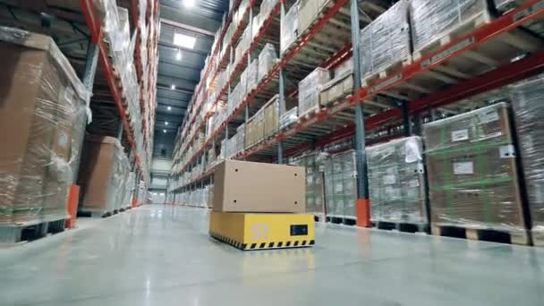 Robot industriale sta cavalcando lungo il magazzino con una scatola — Video Stock
