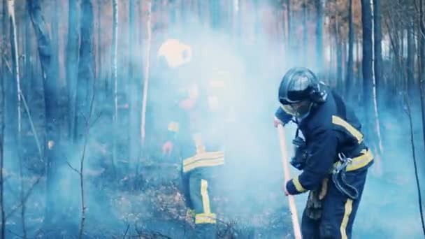 Due pompieri stanno spegnendo un incendio boschivo residuo — Video Stock
