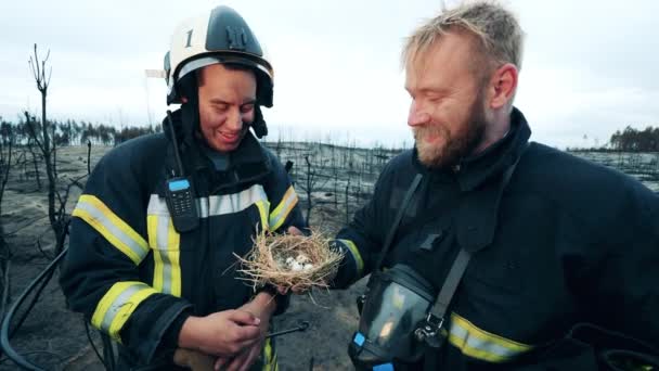 Пожарные улыбаются, глядя на птичье гнездо — стоковое видео