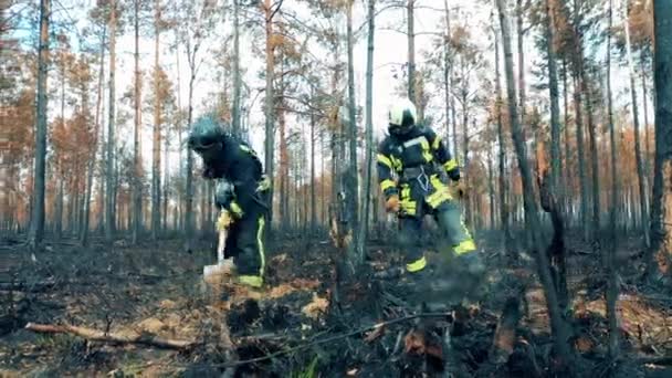 Zbytkové lesní požáry řeší hasiči. — Stock video