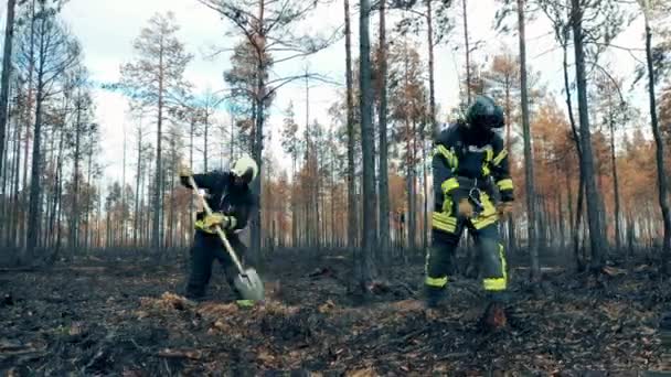 Dois bombeiros estão a amortecer os incêndios florestais residuais. — Vídeo de Stock