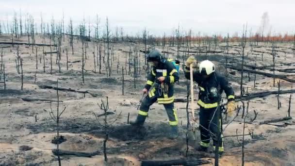 Ausgebranntes Waldgebiet wird von zwei Feuerwehrleuten in den Griff bekommen — Stockvideo
