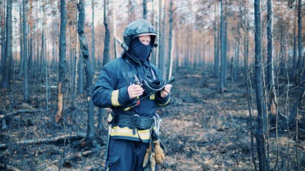 Bombero en el desgaste de seguridad está de pie en el bosque quemado — Vídeo de stock