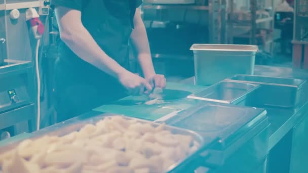 Cebolas estão sendo cortadas na cozinha do restaurante — Vídeo de Stock